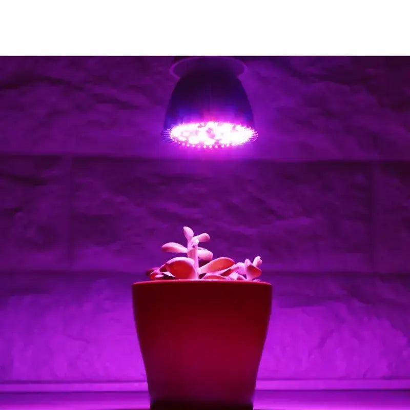 Lâmpada Led Grow para Cultivo
