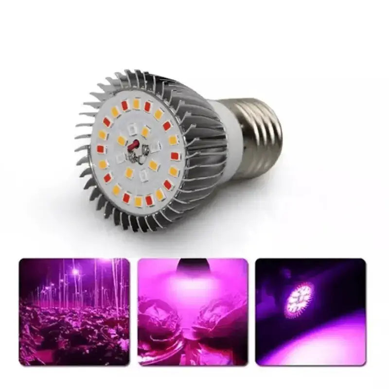 Lâmpada Led Grow para Cultivo